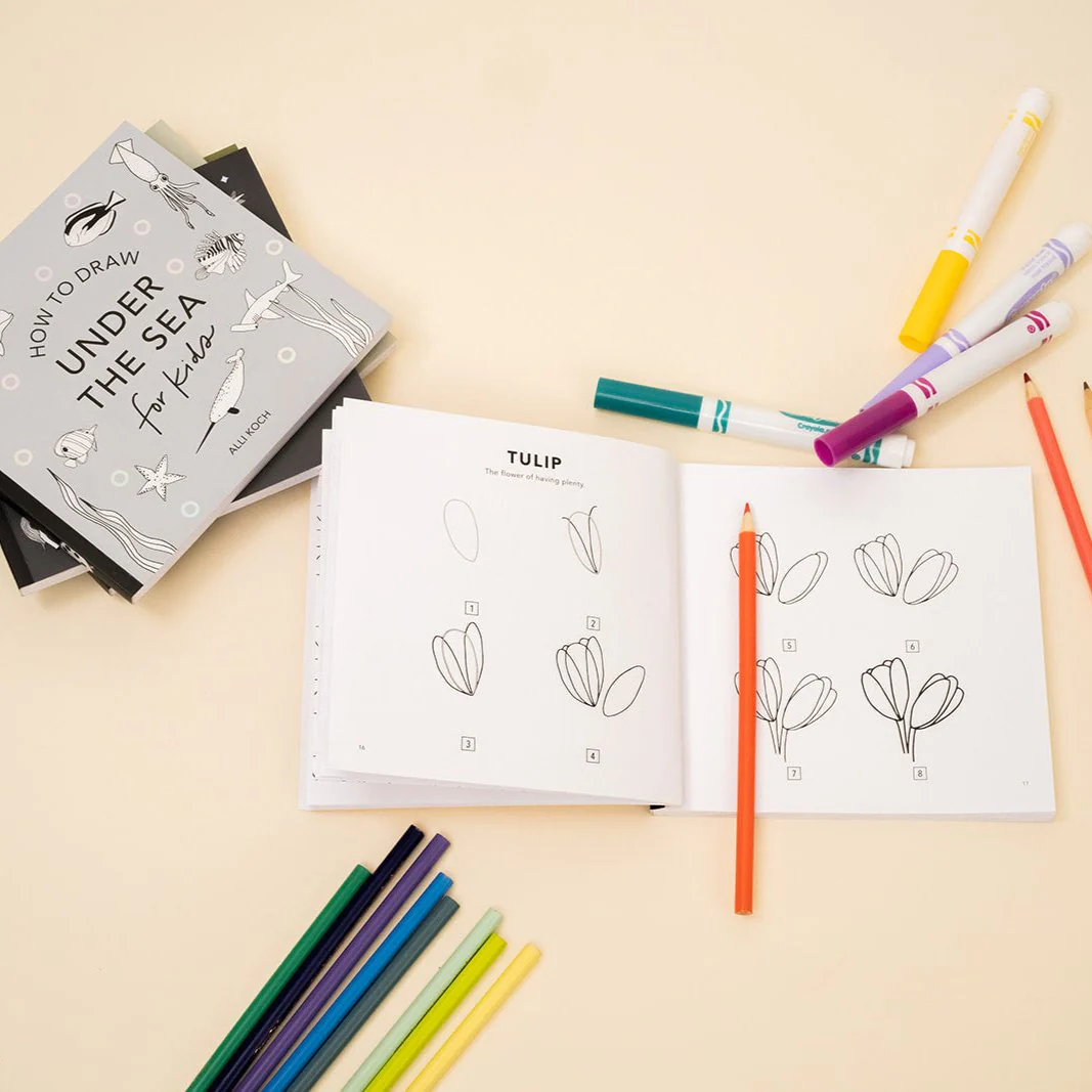 How to Draw So Many Things [mini box set] - Image 2