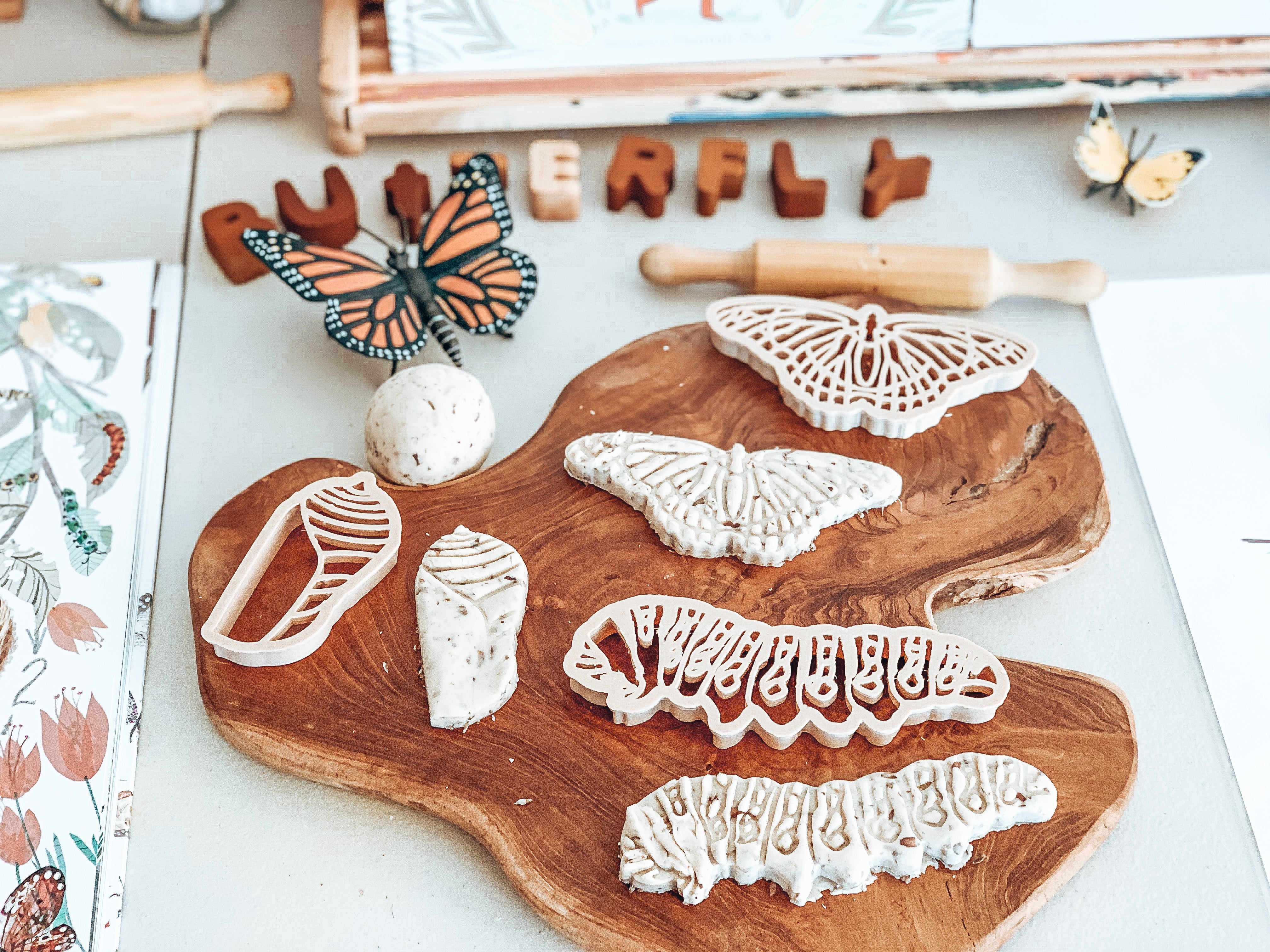 Monarch Butterfly Lifecycle Eco Cutter Set (3 Pieces)