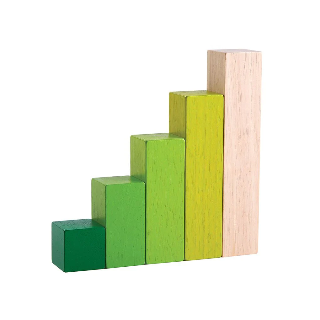 PlanToys Ordering Blocks