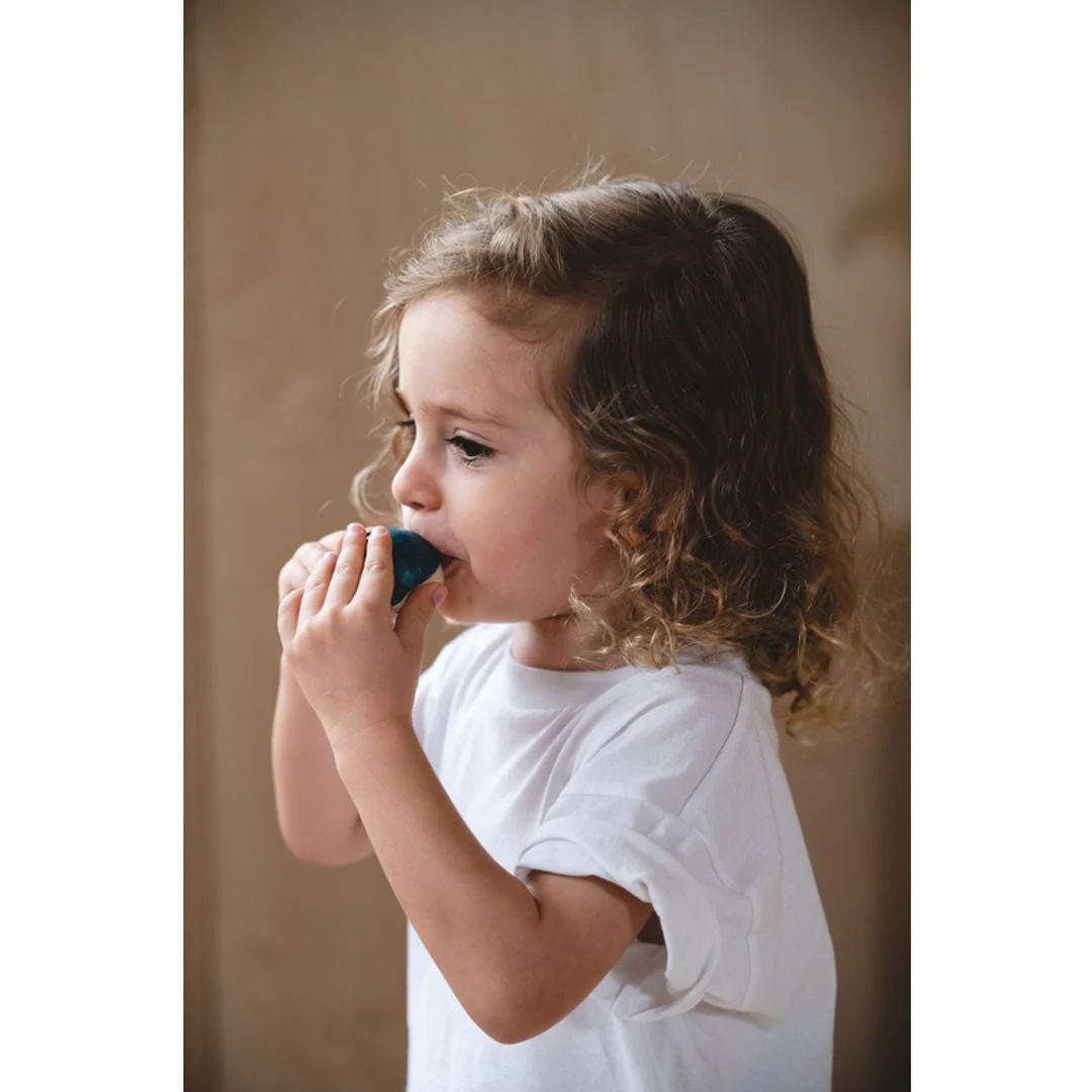 PlanToys Whale Whistle - Image 3