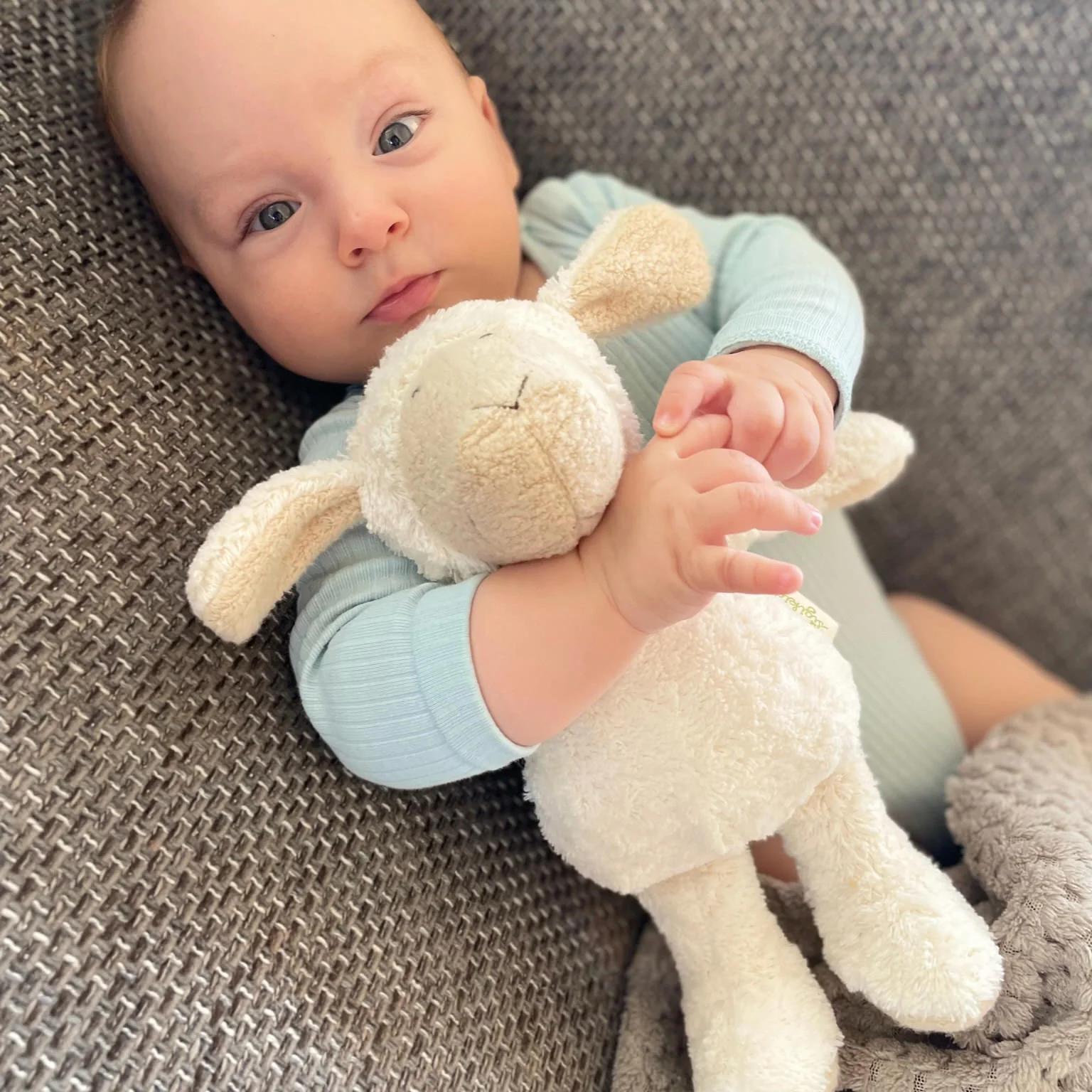 Sigikid Organic Sheep Plush Toy - Image 2