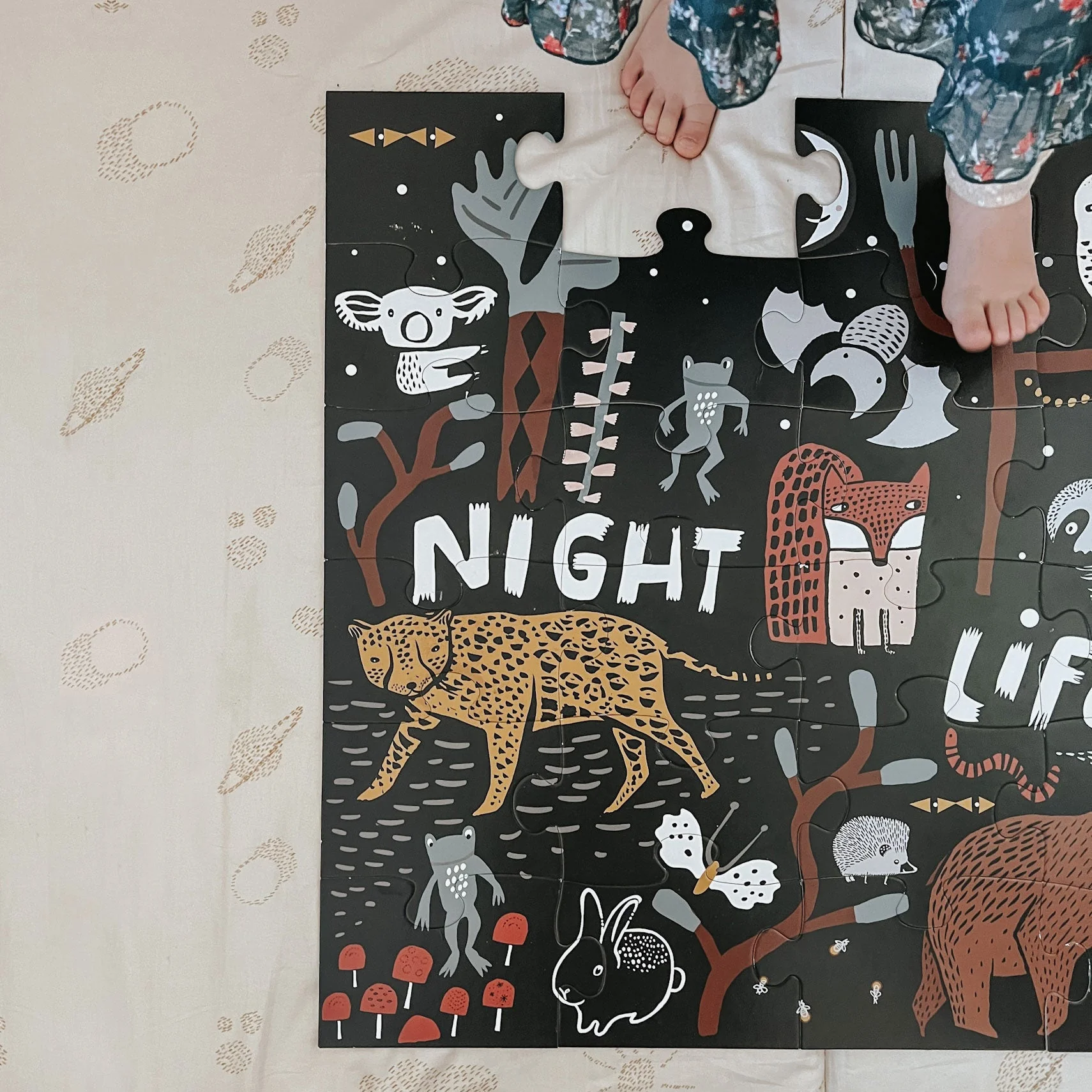 Wee Gallery Wild Adventure Bundle - Image 2