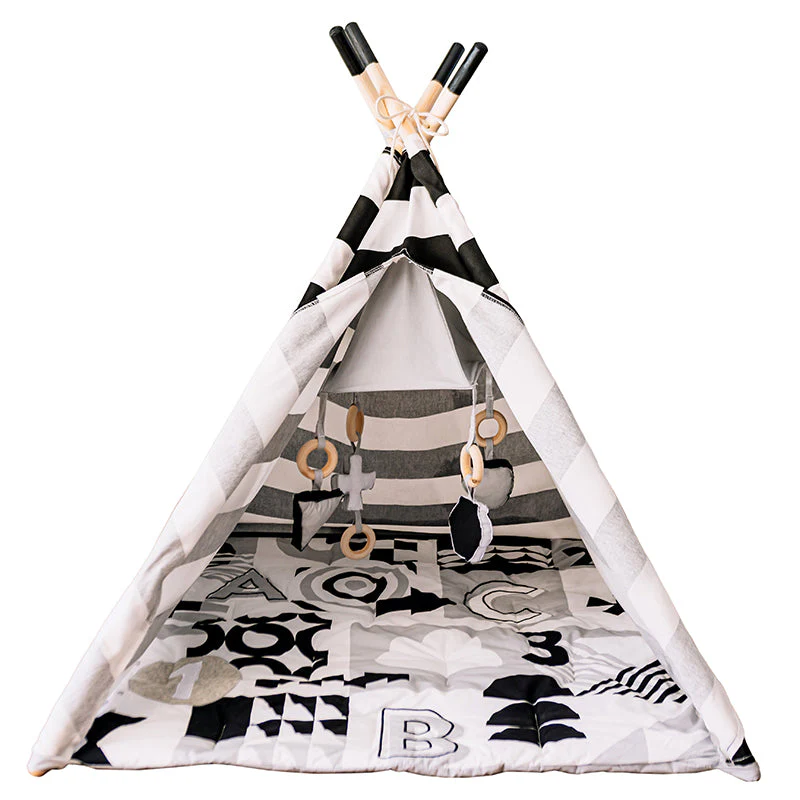 Wonder and Wise ABC Baby Activity Teepee